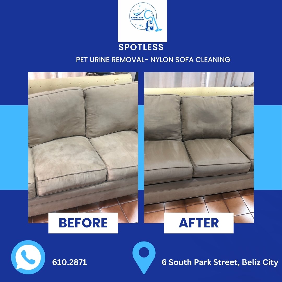 Urine Staine Sofa Cleaning